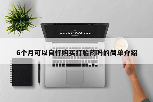 网上私人买的打胎药6个月可以自行购买打胎药吗的简单介绍